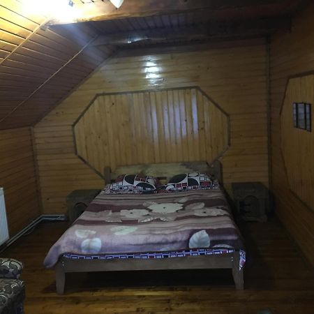 Барви Карпат Vorochta Buitenkant foto