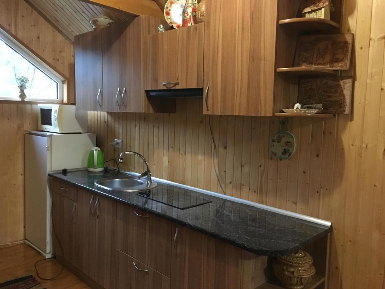 Барви Карпат Vorochta Buitenkant foto