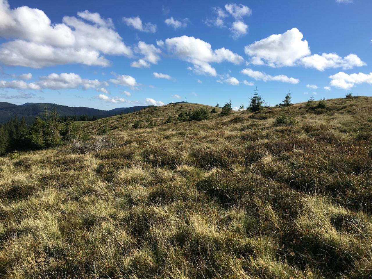 Барви Карпат Vorochta Buitenkant foto
