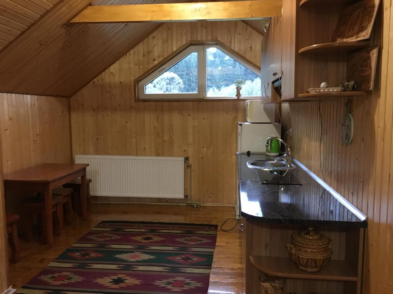 Барви Карпат Vorochta Buitenkant foto
